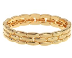 OLBR16172 Roxan gouden armband I'm Dutch 't oude huys 872120606941