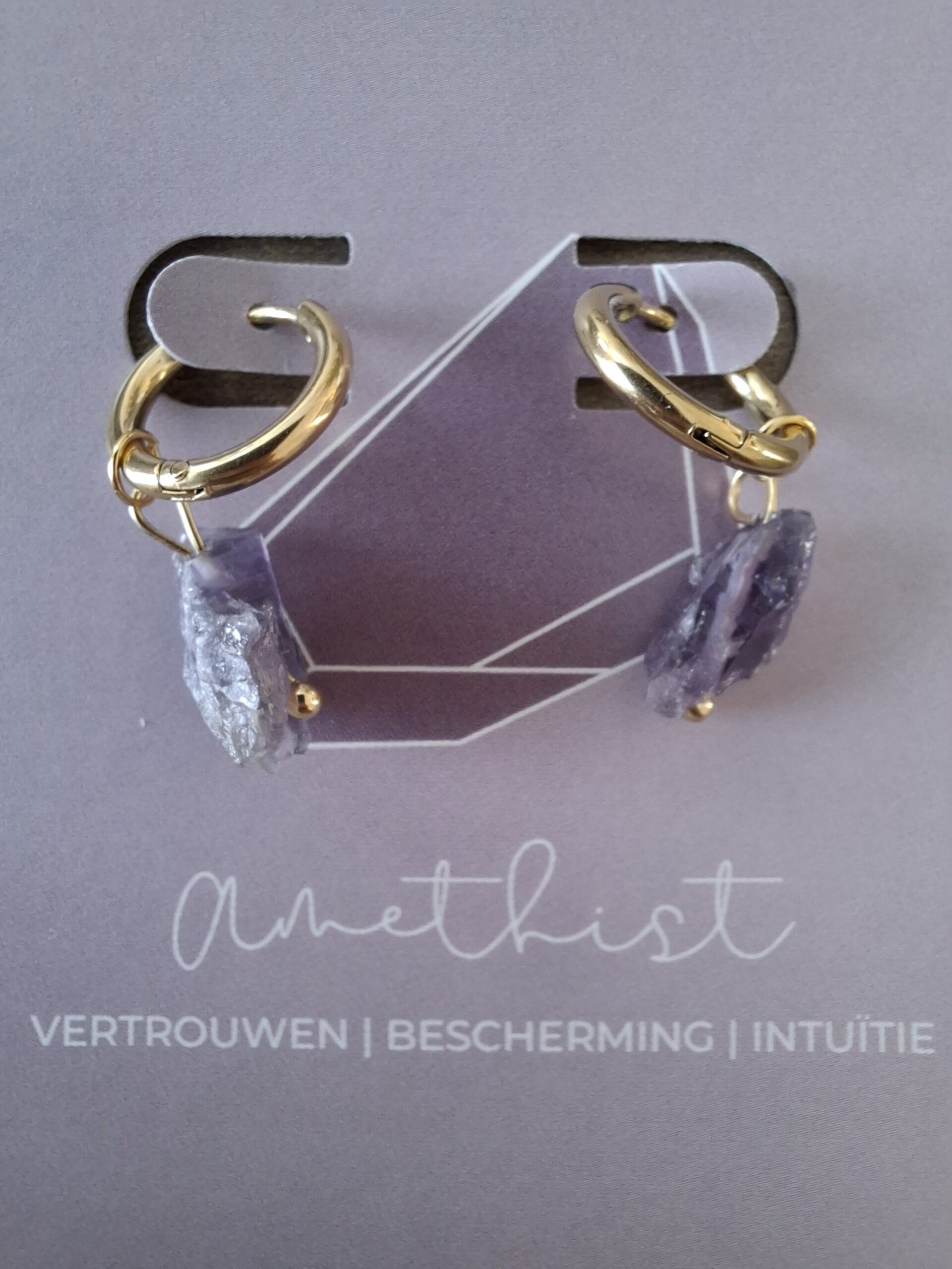 Uchu-Reminders-Oorbellen-met-edelsteen-Amethist-t-Oude-Huys